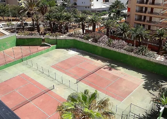 Cristianos Lemon Trees Vue Panoramique Los Cristianos (Tenerife)