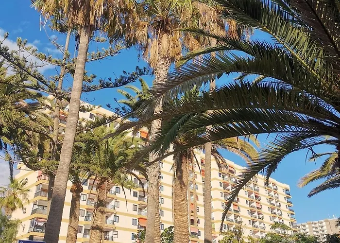 Cristianos Lemon Trees Vue Panoramique Apartamento *