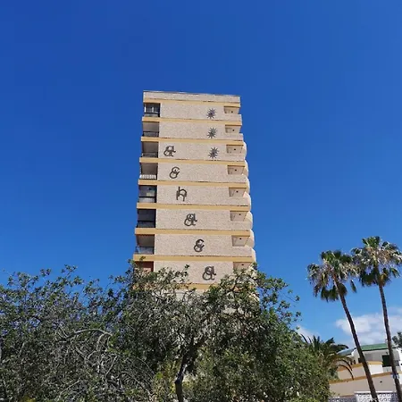 Cristianos Lemon Trees Vue Panoramique Лос Кристианос