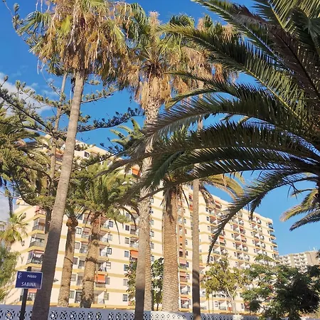 Cristianos Lemon Trees Vue Panoramique Apartament *